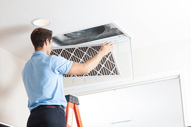 Best HVAC air duct cleaning  in Douglas, AZ